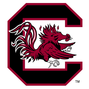 /images/NativeArtwork/South Carolina Gamecocks.jpg